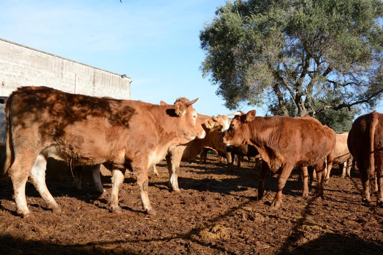 Masseria Rifisa Agriresort Caprarica di Lecce Exteriör bild